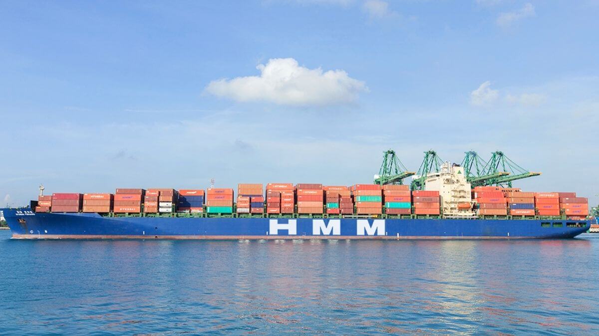 Lợi nhuận HMM giảm gần 60% quý IV 2025