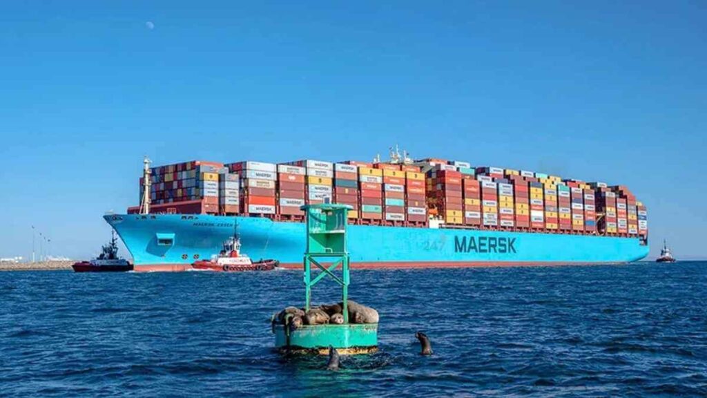 FMC phạt Maersk 1,9 triệu USD vì phí lưu container