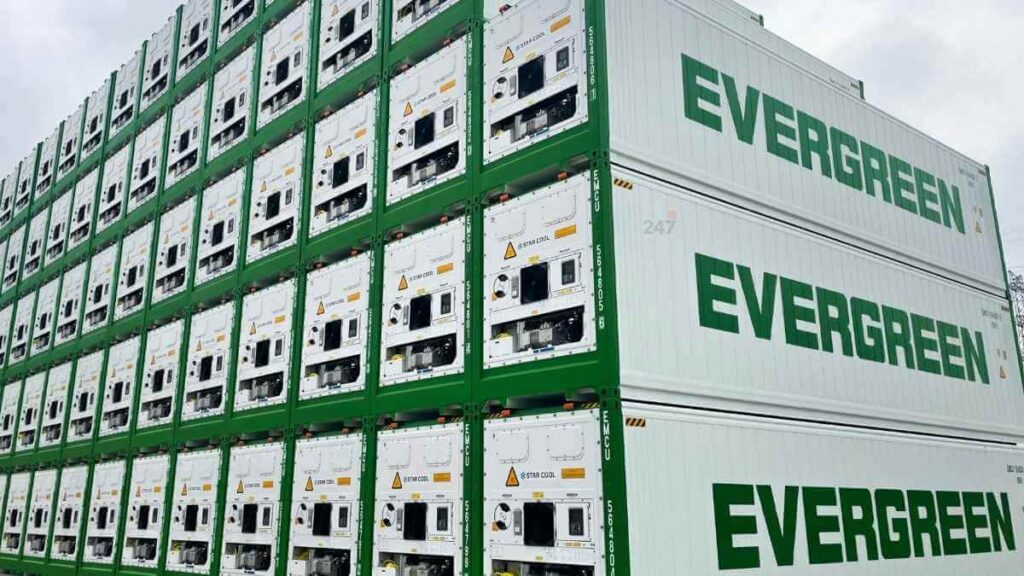 Evergreen Mua Thêm 18.000 Container Để Mở Rộng Năng Lực Vận Tải