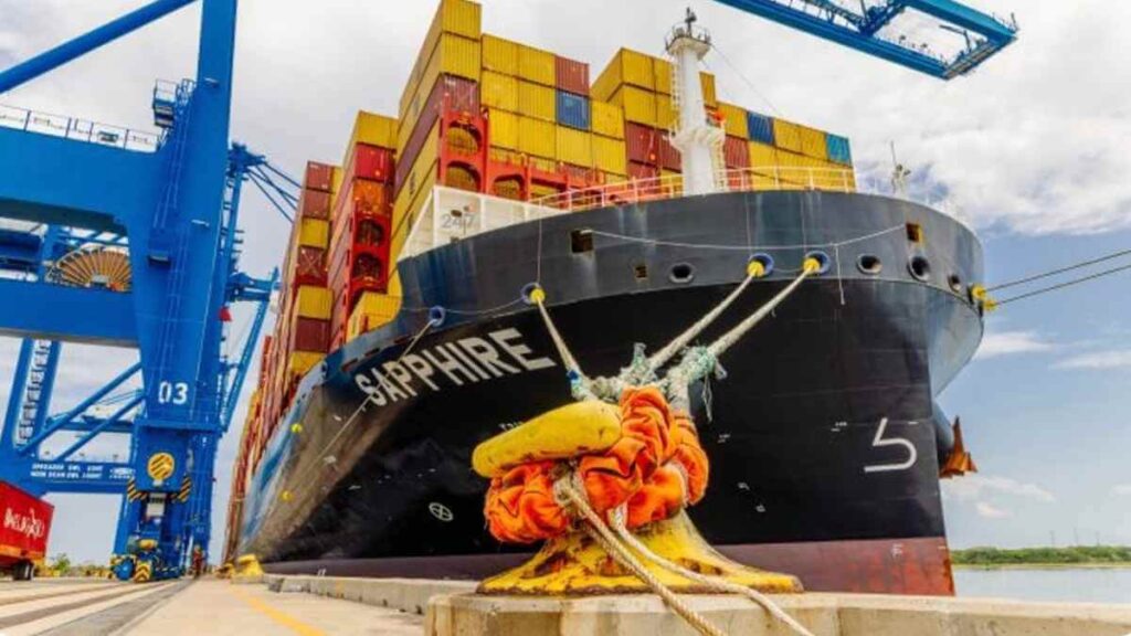 ZIM và MSC bổ sung JAXPORT vào mạng lưới châu Á