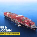 Tàu container Yang Ming trong chương trình đóng mới 6 tàu LNG trị giá 1,2 tỷ USD